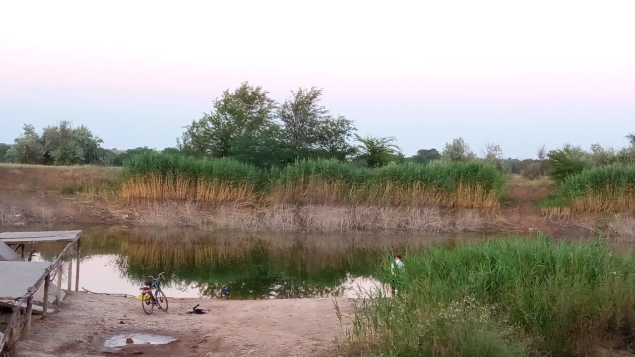 Північнокримський канал поблизу Джанкоя почав пересихати (фото)