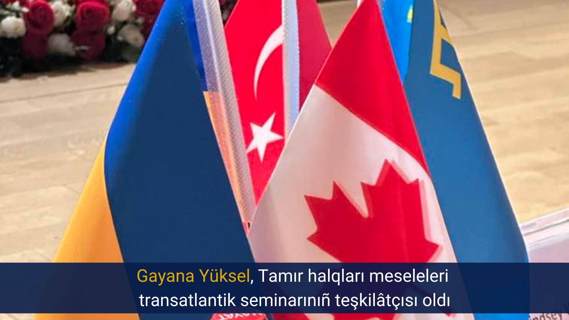 Gayana Yüksel, Tamır halqları meseleleri transatlantik seminarınıñ teşkilâtçısı oldı