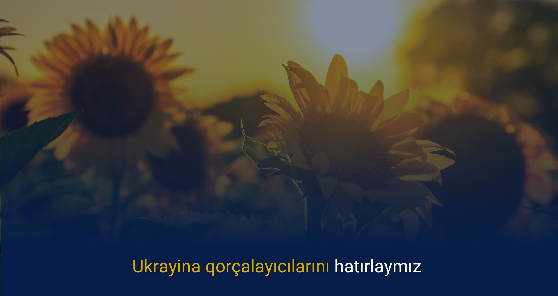 Ukrayina qorçalayıcılarını hatırlaymız